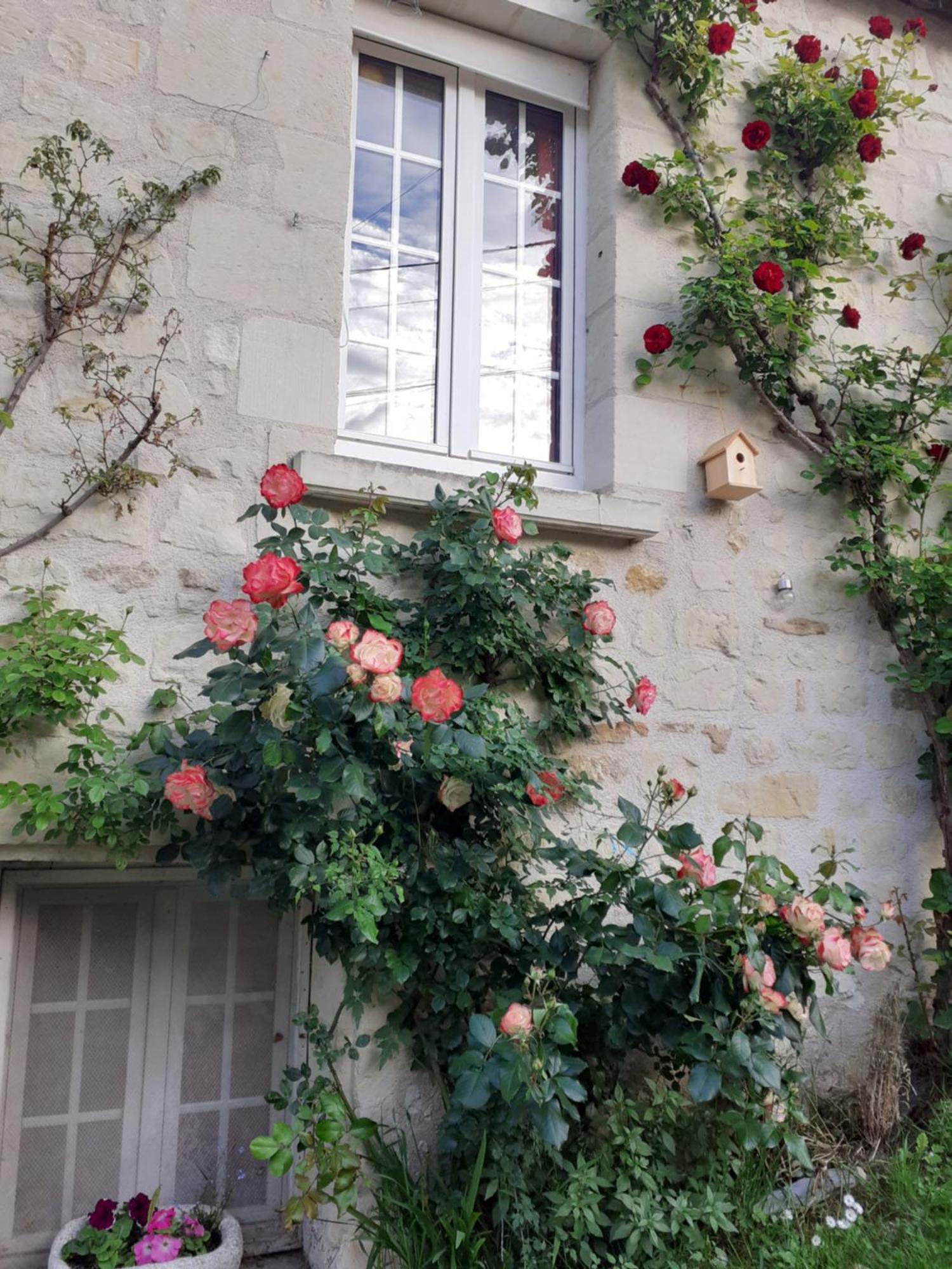 Esprit Troglo Villa Beaumont-en-Veron Luaran gambar