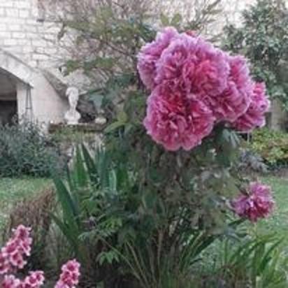 Esprit Troglo Villa Beaumont-en-Veron Luaran gambar